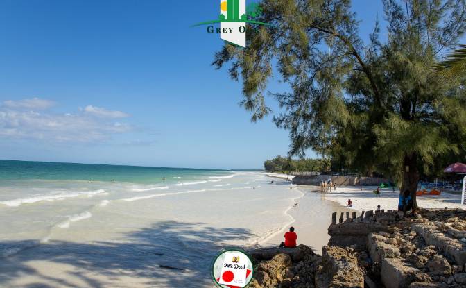 Land Lot for Sale Kinondo, Diani Beach, Msambweni. Photo#9 Land Lot for Sale Kinondo, Diani Beach, Msambweni. Photo#9