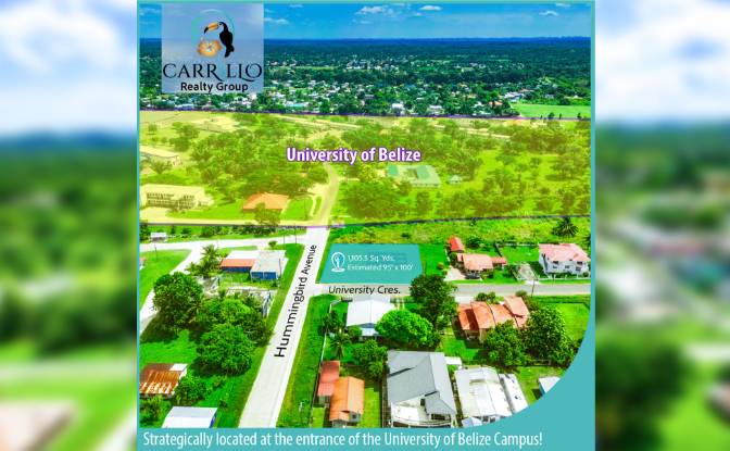 Investing/Development for Sale Belmopan. Photo#5