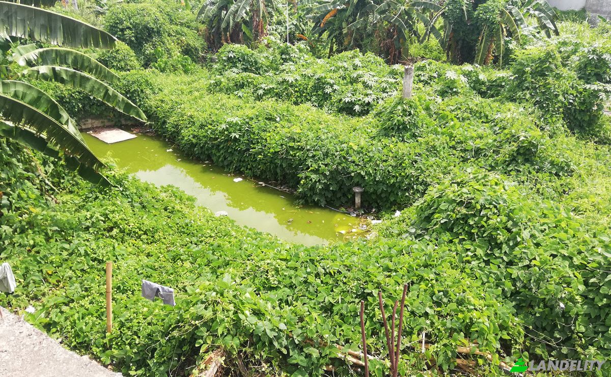 Investing/Development for Sale Canggu, Kuta Utara, Dalung, Badung Regency, Bali, Indonesia. Photo 12