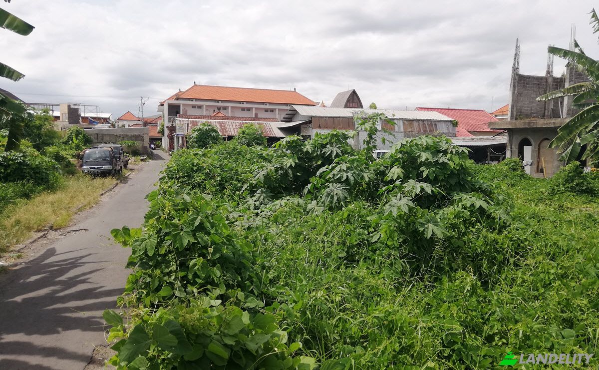 Investing/Development for Sale Canggu, Kuta Utara, Dalung, Badung Regency, Bali, Indonesia. Photo 15
