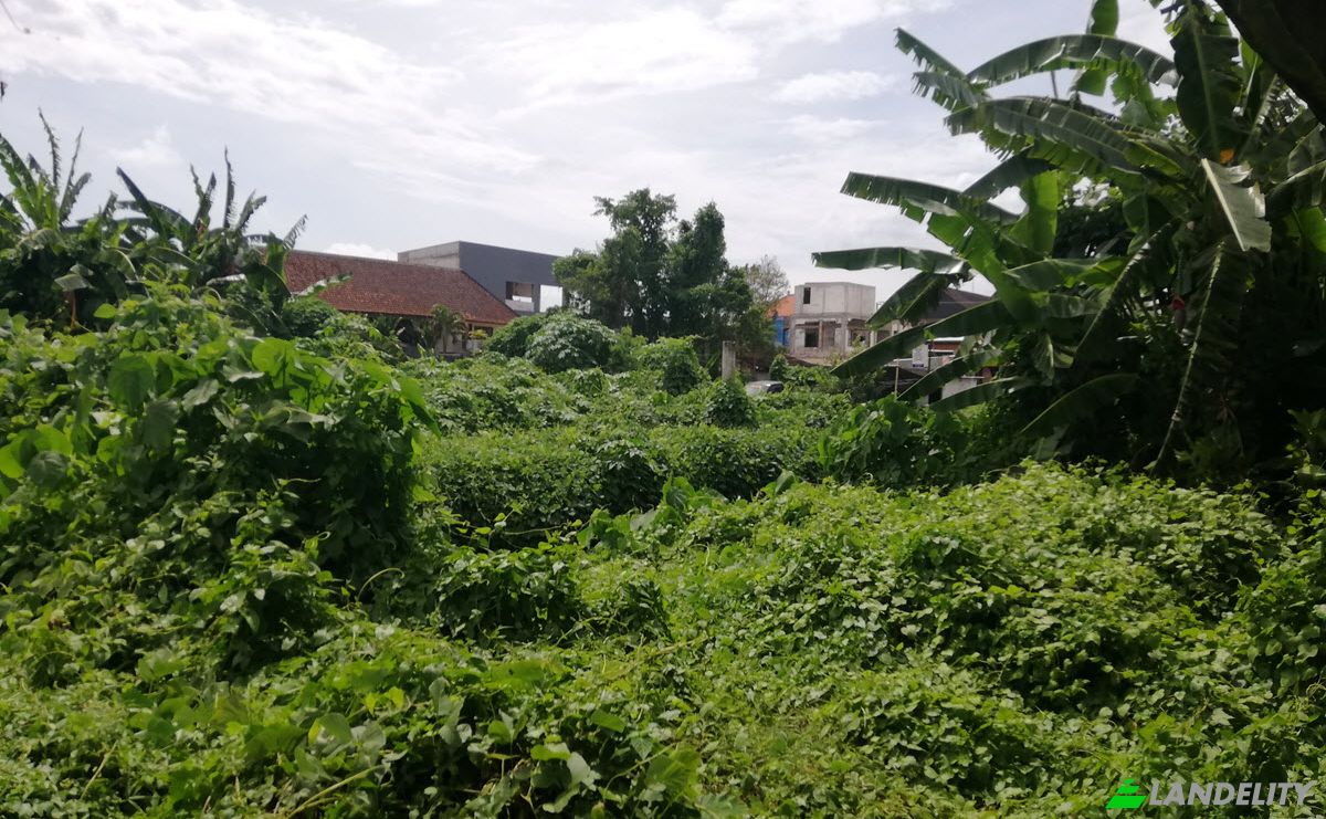 Investing/Development for Sale Canggu, Kuta Utara, Dalung, Badung Regency, Bali, Indonesia. Photo 5