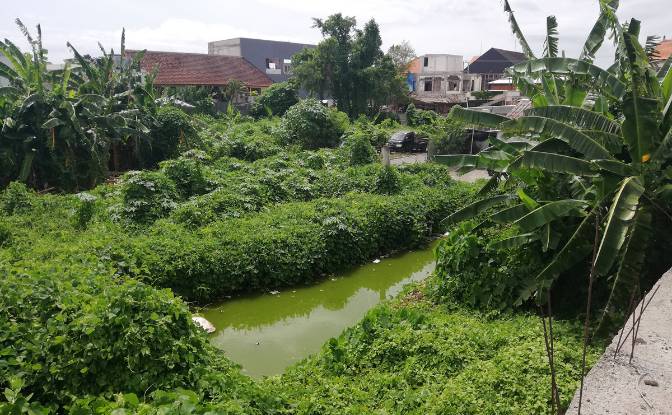 Investing/Development for Sale Canggu, Kuta Utara. Photo#6