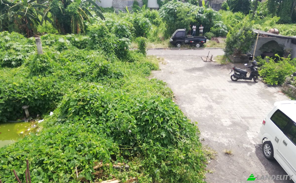 Investing/Development for Sale Canggu, Kuta Utara, Dalung, Badung Regency, Bali, Indonesia. Photo 9