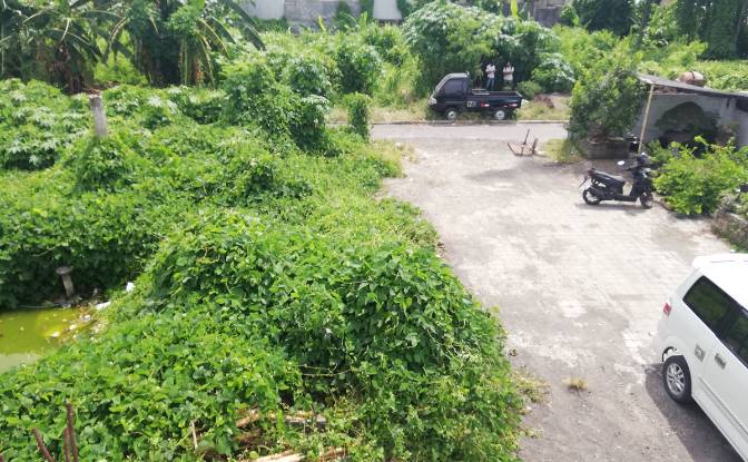 Investing/Development for Sale Canggu, Kuta Utara. Photo#9
