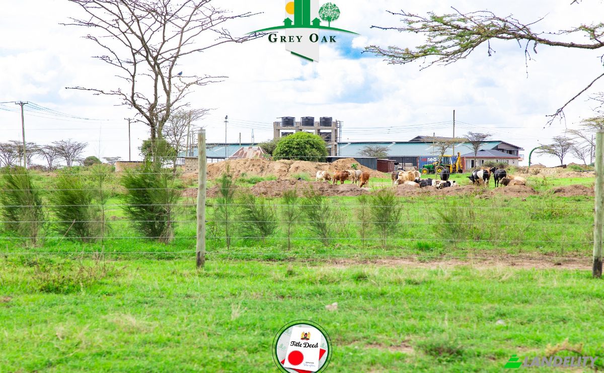 Land Lot for Sale C76, Nanyuki, Central, Laikipia County, Kenya. Photo 10