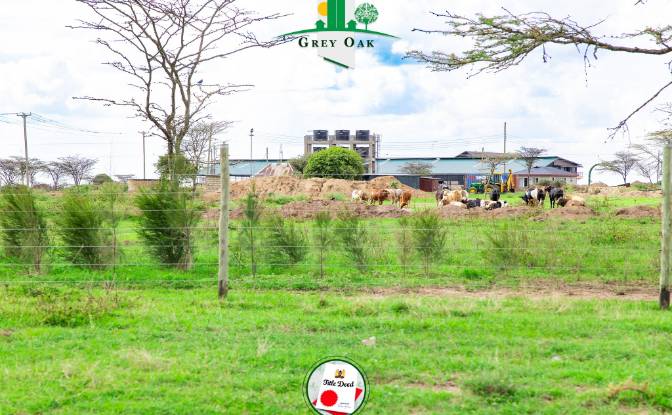 Land Lot for Sale C76, Nanyuki, Central. Photo#10 Land Lot for Sale C76, Nanyuki, Central. Photo#10