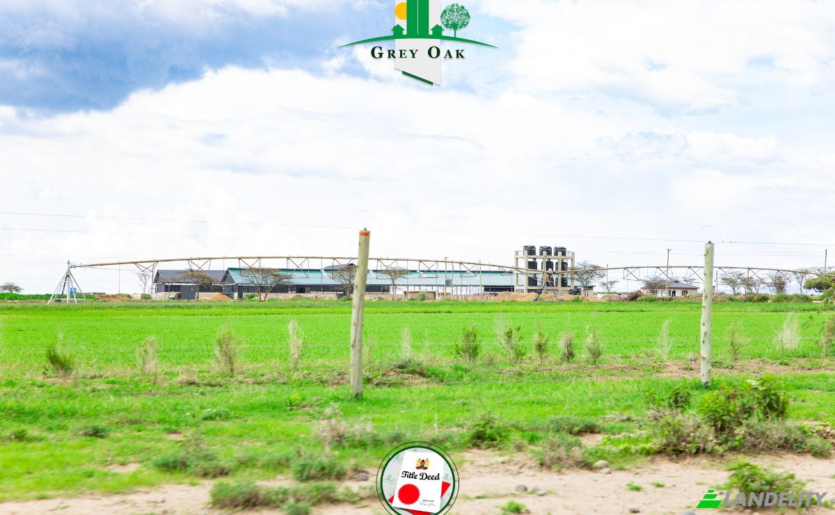 Land Lot for Sale C76, Nanyuki, Central, Laikipia County, Kenya. Photo 11