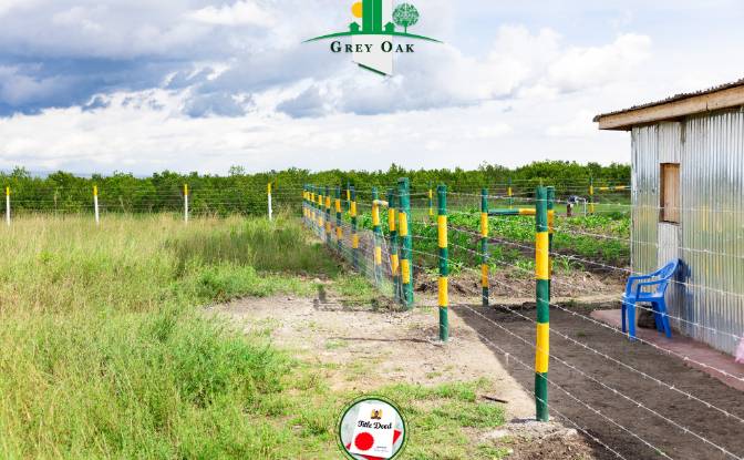 Land Lot for Sale C76, Nanyuki, Central. Photo#12 Land Lot for Sale C76, Nanyuki, Central. Photo#12
