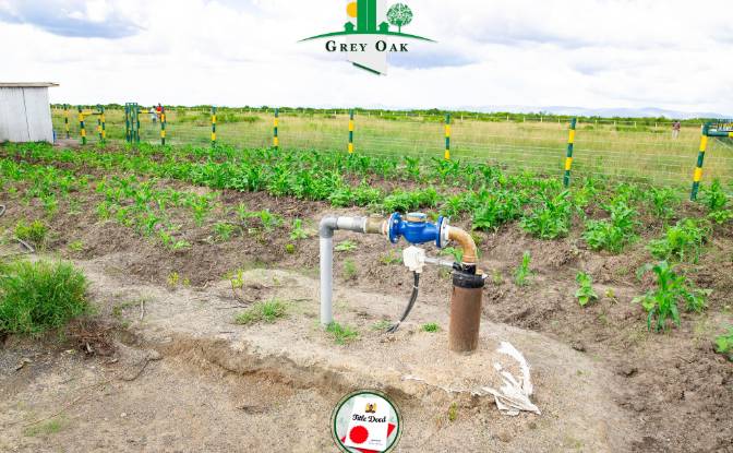 Land Lot for Sale C76, Nanyuki, Central. Photo#13 Land Lot for Sale C76, Nanyuki, Central. Photo#13