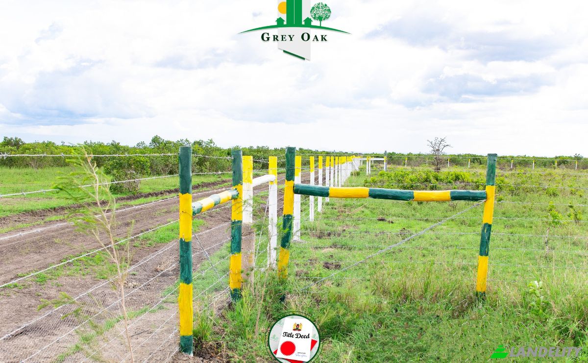 Land Lot for Sale C76, Nanyuki, Central, Laikipia County, Kenya. Photo 14
