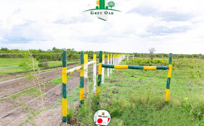 Land Lot for Sale C76, Nanyuki, Central. Photo#14 Land Lot for Sale C76, Nanyuki, Central. Photo#14