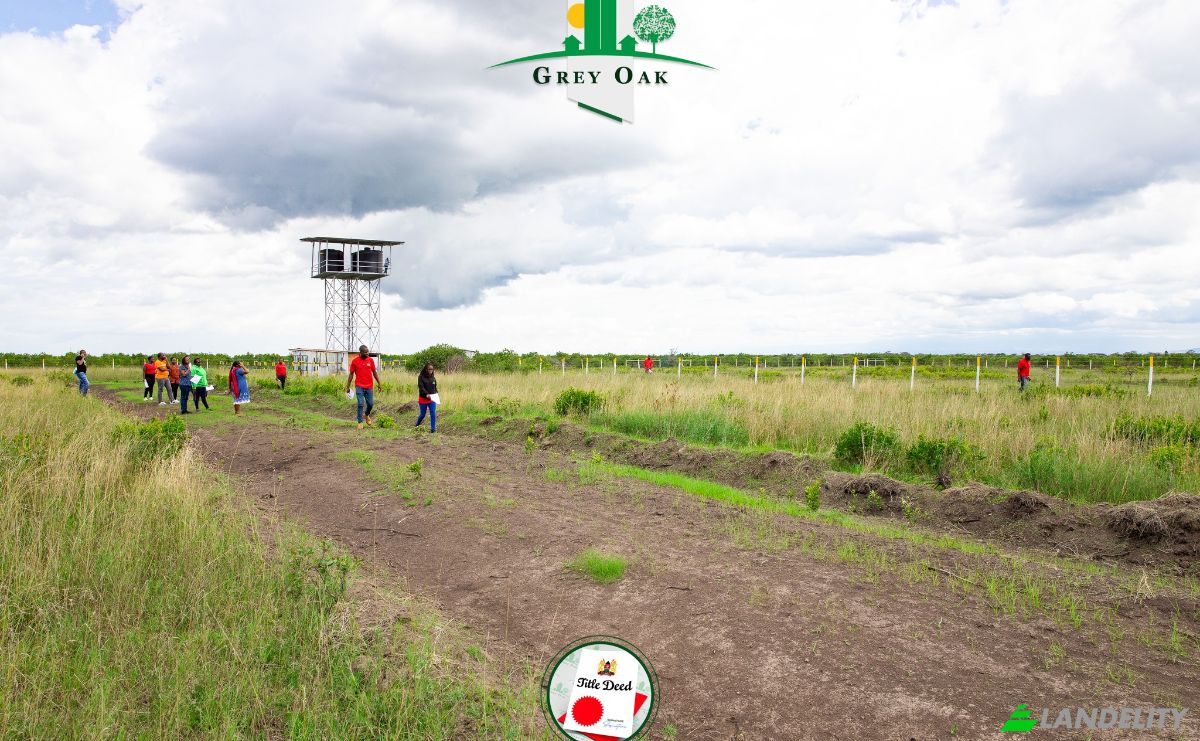 Land Lot for Sale C76, Nanyuki, Central, Laikipia County, Kenya. Photo 15