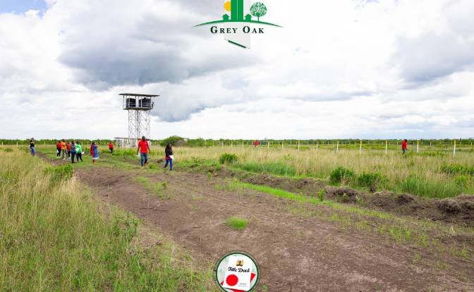 Land Lot for Sale C76, Nanyuki, Central. Photo#15 Land Lot for Sale C76, Nanyuki, Central. Photo#15