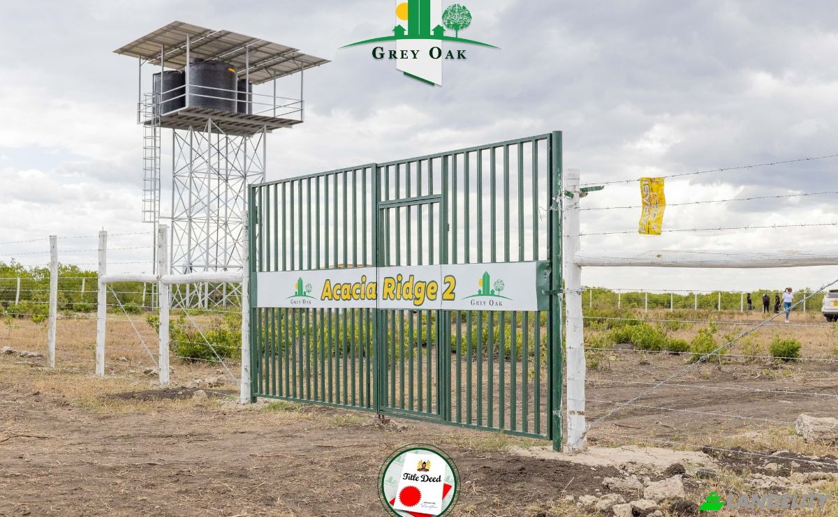 Land Lot for Sale C76, Nanyuki, Central, Laikipia County, Kenya. Photo 2