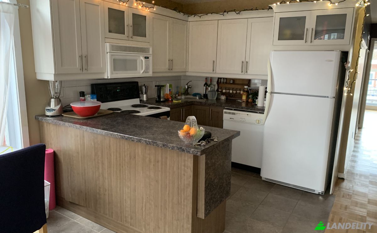 Apartment for Sale 2156 Rue Jacques-Hertel, Montreal, Quebec, Canada, QC H4E 1R3. Photo 16