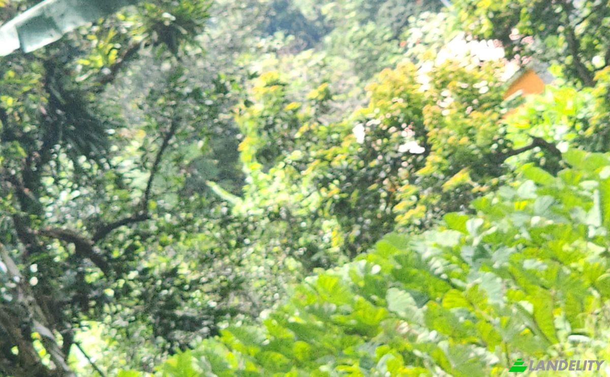 Investing/Development for Sale Dr Nicholas Liverpool Hwy, Mero, Saint Joseph Parish, Dominica. Photo 1