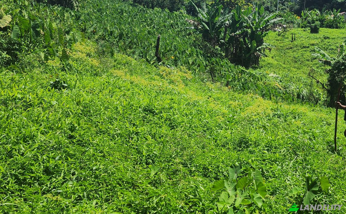 Investing/Development for Sale Dr Nicholas Liverpool Hwy, Mero, Saint Joseph Parish, Dominica. Photo 2