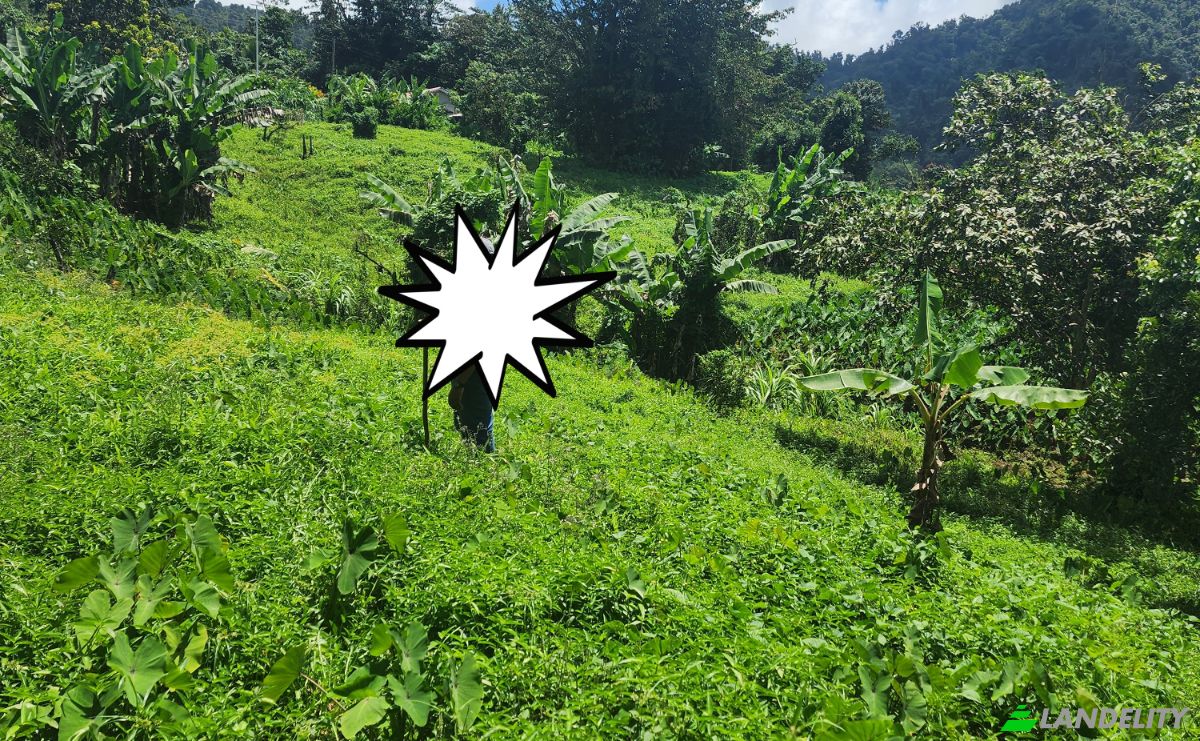 Investing/Development for Sale Dr Nicholas Liverpool Hwy, Mero, Saint Joseph Parish, Dominica. Photo 4