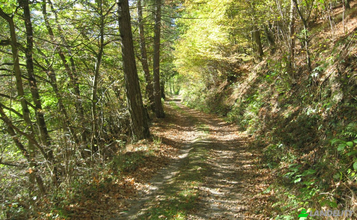 Investing/Development for Sale Am Romerbad 2, 56856 Zell Mosel, Zell, Cochem-Zell, Rhineland-Palatinate, Germany. Photo 17