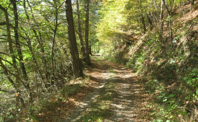 Investing/Development for Sale Am Romerbad 2. Photo#17 Investing/Development for Sale Am Romerbad 2. Photo#17