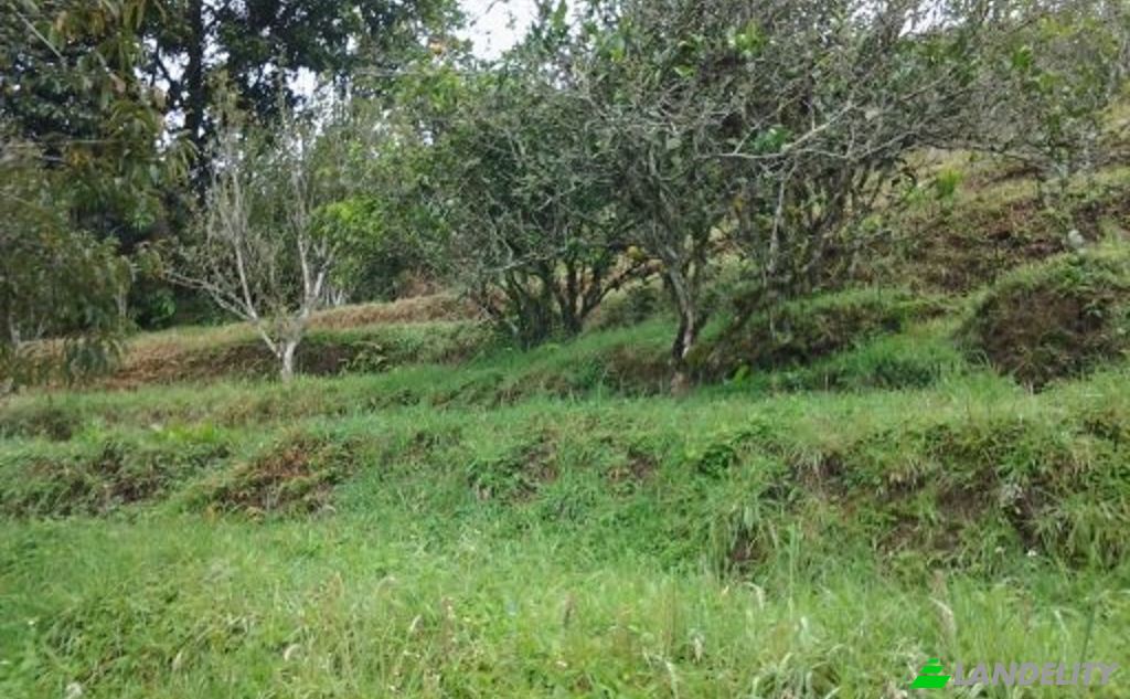 Eengezinswoning Te koop Via sin nombre, Banos, Banos Canton, Tungurahua, Ecuador. Foto 7