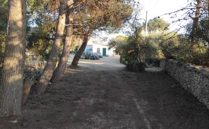 Farm/Ranch for Sale Via Ozieri, 07041 Alghero SS. Photo#2