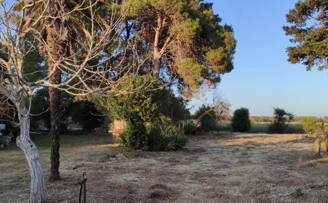Farm/Ranch for Sale Via Ozieri, 07041 Alghero SS. Photo#3
