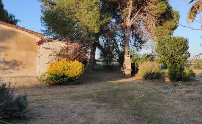 Farm/Ranch for Sale Via Ozieri, 07041 Alghero SS. Photo#4