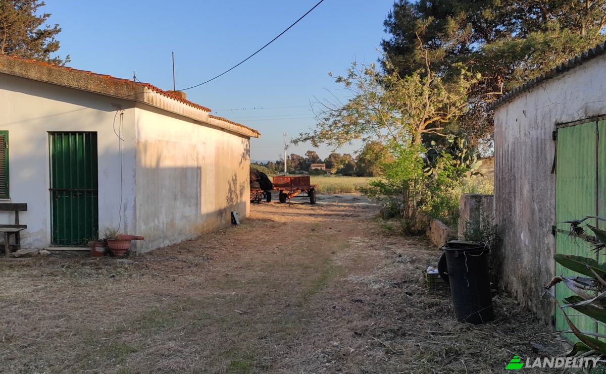 Farm/Ranch for Sale Via Ozieri, 07041 Alghero SS, Alghero, Province of Sassari, Sardinia, Italy. Photo 5