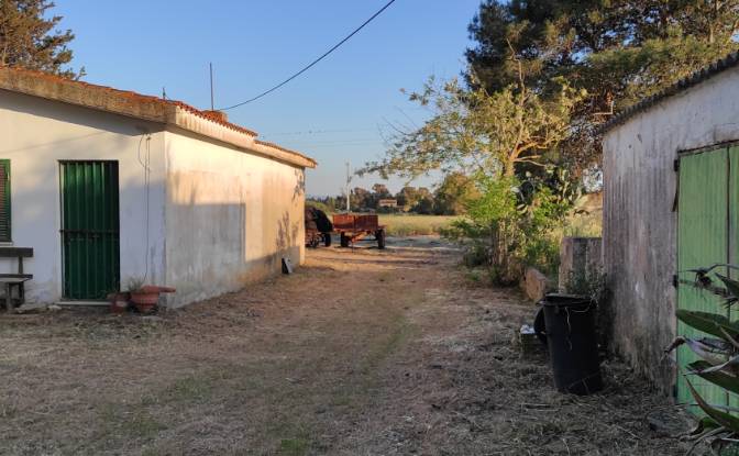 Farm/Ranch for Sale Via Ozieri, 07041 Alghero SS. Photo#5