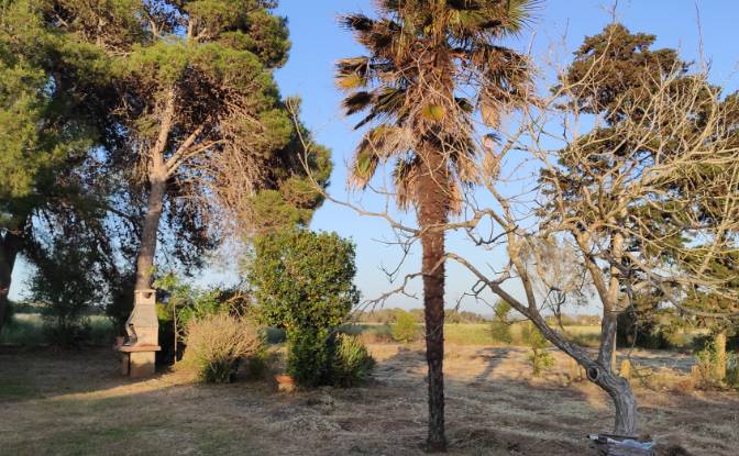 Farm/Ranch for Sale Via Ozieri, 07041 Alghero SS. Photo#6