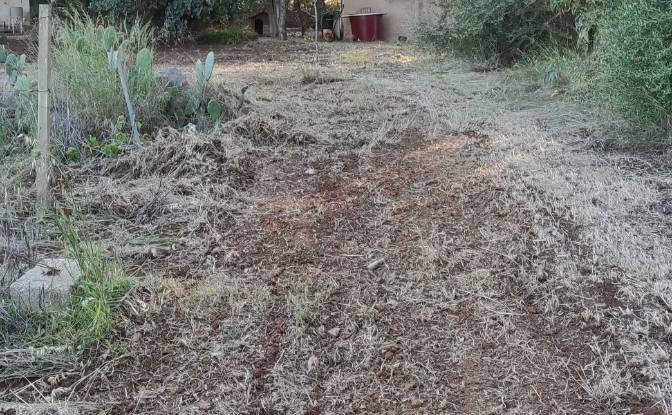 Farm/Ranch for Sale Via Ozieri, 07041 Alghero SS. Photo#8