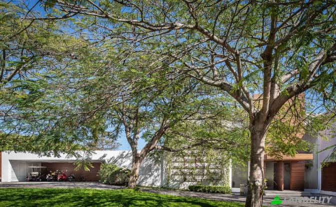 Single Family Home for Sale Alameda das Figueiras. Photo#4