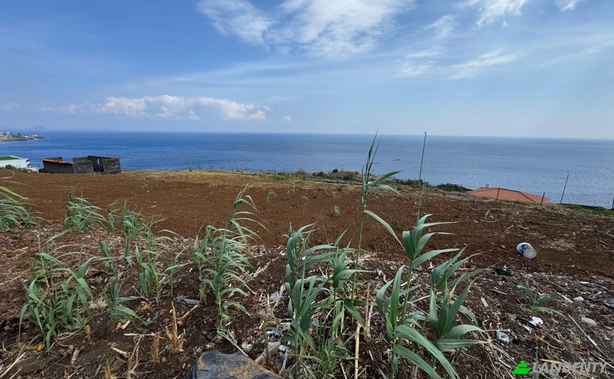 Land Lot for Sale ER206 63, 9100 Gaula, Gaula, Santa Cruz, Madeira, Portugal. Photo 14