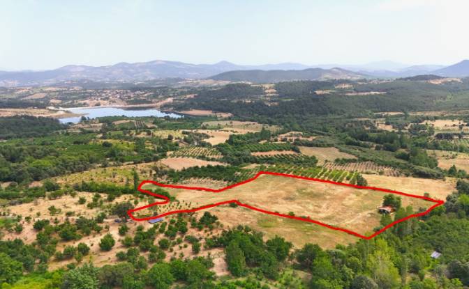 Fattoria/Ranch in vendita Isimsiz Yol. Foto#2