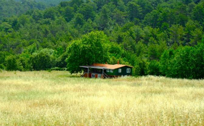 Fattoria/Ranch in vendita Isimsiz Yol. Foto#20