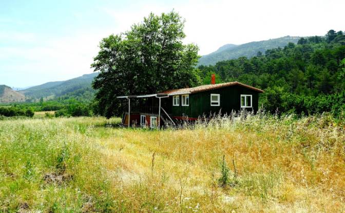 Fattoria/Ranch in vendita Isimsiz Yol. Foto#21