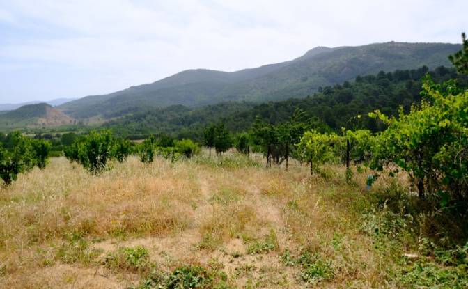 Fattoria/Ranch in vendita Isimsiz Yol. Foto#22