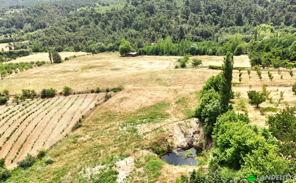 Fattoria/Ranch in vendita Isimsiz Yol, 17720 Serhat Bayramic Canakkale, Cavuslu Bayramic Canakkale, Bayramic, Canakkale, Turkiye. Foto 23