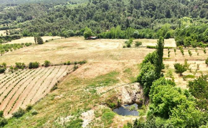 Fattoria/Ranch in vendita Isimsiz Yol. Foto#23