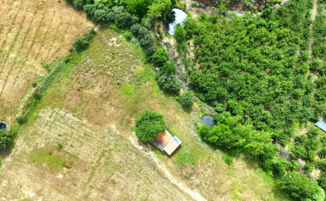 Fattoria/Ranch in vendita Isimsiz Yol. Foto#25