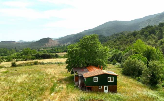 Fattoria/Ranch in vendita Isimsiz Yol. Foto#26