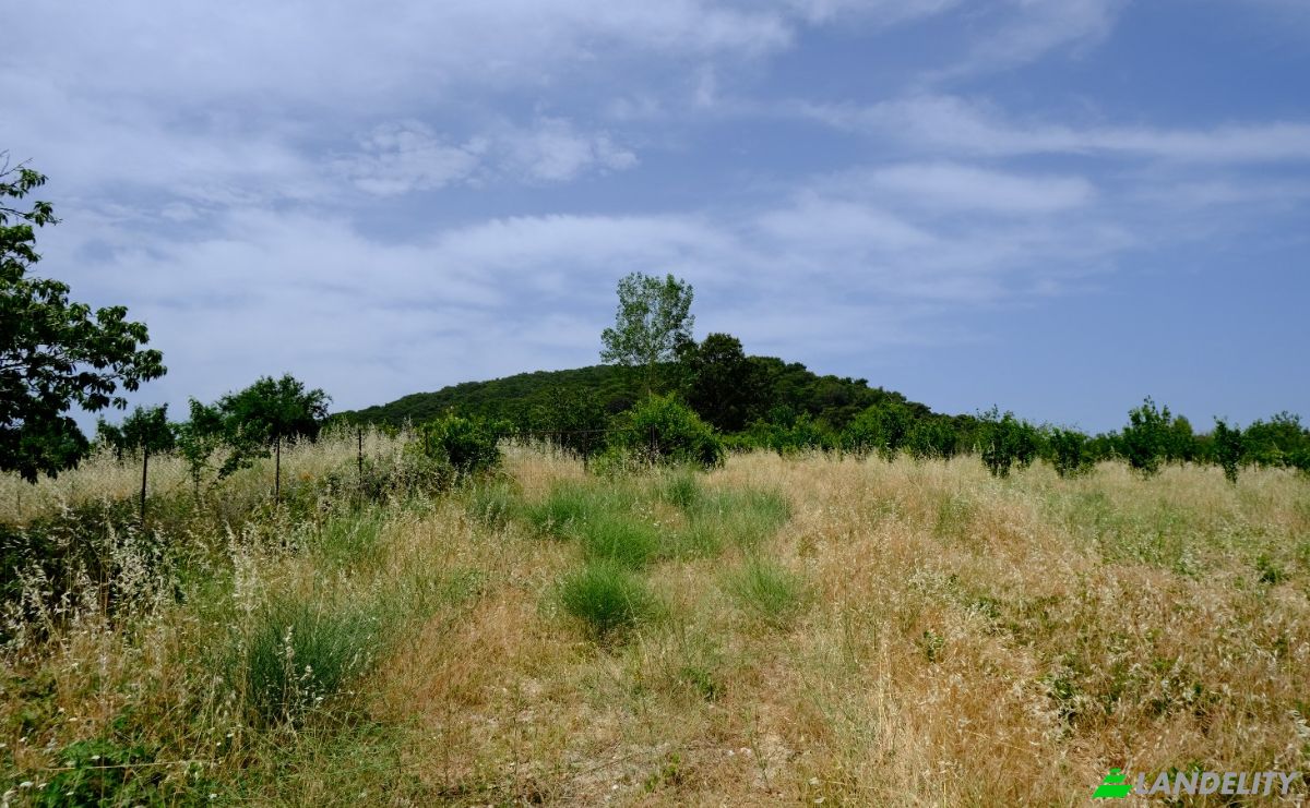 Fattoria/Ranch in vendita Isimsiz Yol, 17720 Serhat Bayramic Canakkale, Cavuslu Bayramic Canakkale, Bayramic, Canakkale, Turkiye. Foto 3
