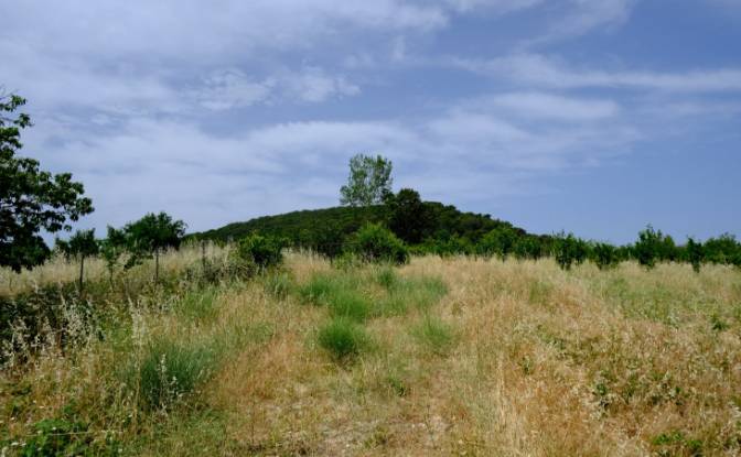Fattoria/Ranch in vendita Isimsiz Yol. Foto#3