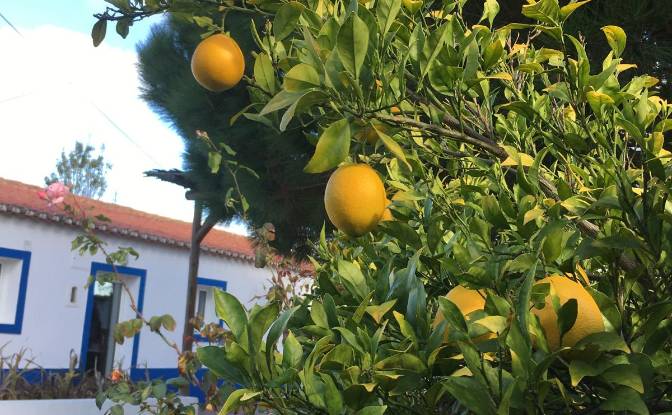 Eengezinswoning Te koop - Colos, Portugal