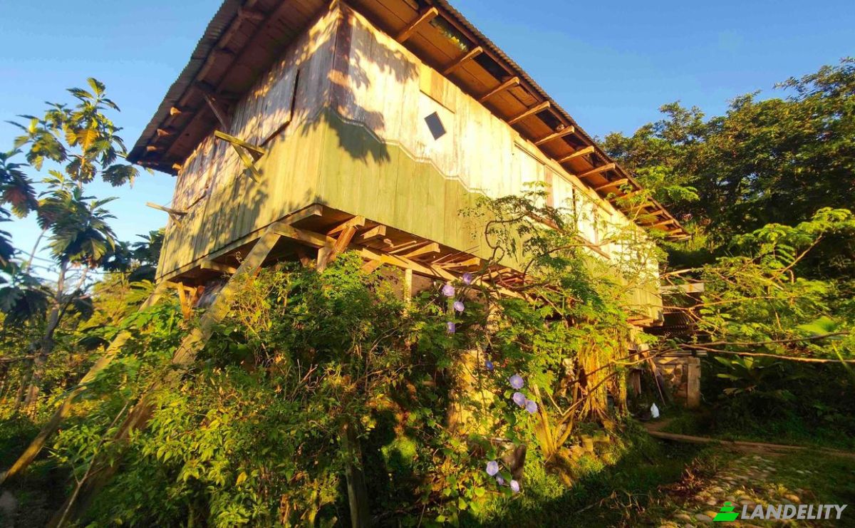 Farm/Ranch for Sale E20, Cotapino, Loreto Canton, Orellana, Ecuador. Photo 1
