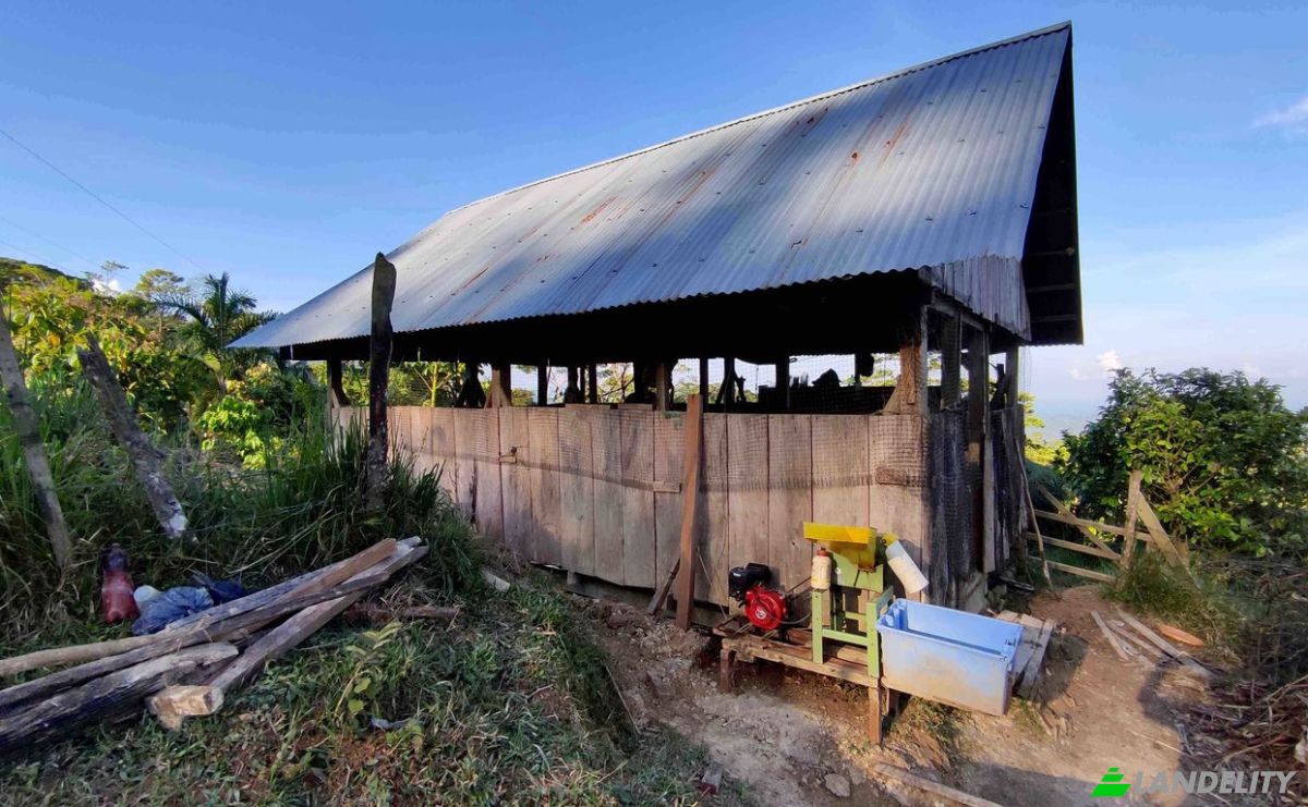 Farm/Ranch for Sale E20, Cotapino, Loreto Canton, Orellana, Ecuador. Photo 10