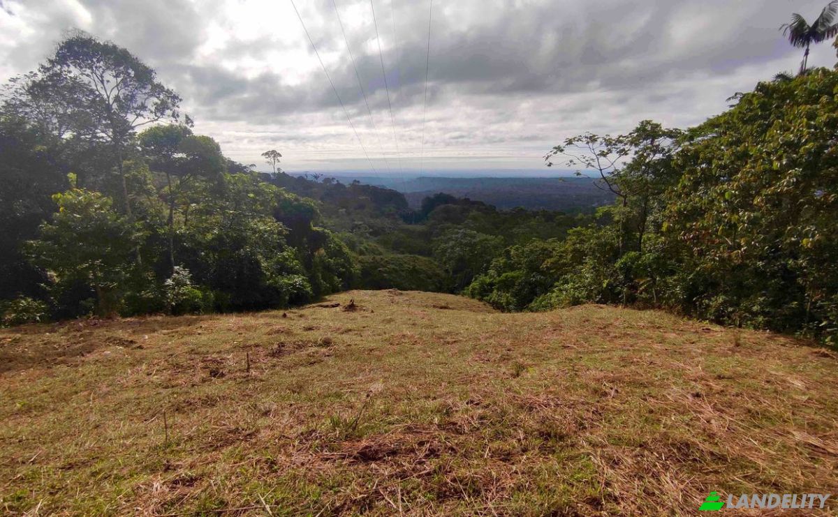 Farm/Ranch for Sale E20, Cotapino, Loreto Canton, Orellana, Ecuador. Photo 11