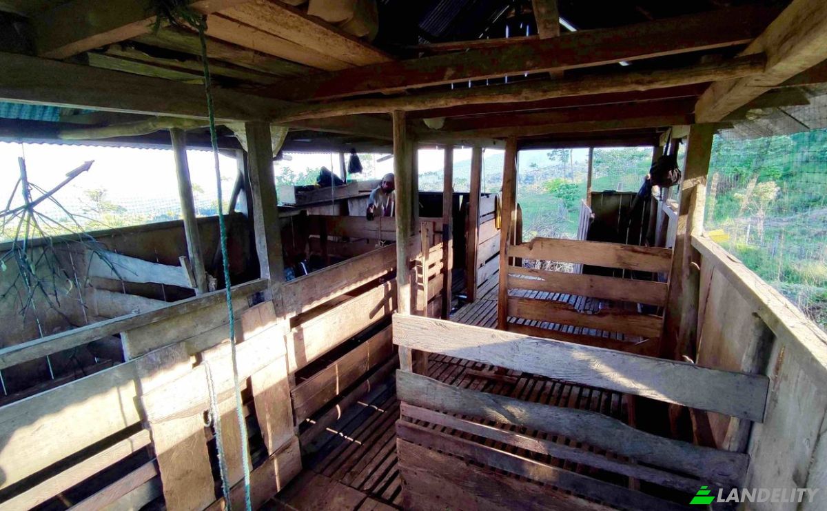Farm/Ranch for Sale E20, Cotapino, Loreto Canton, Orellana, Ecuador. Photo 12