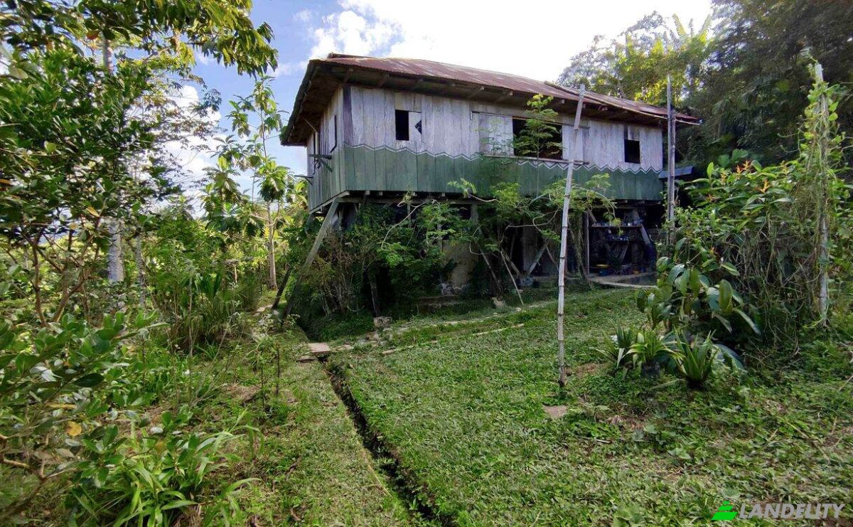 Farm/Ranch for Sale E20, Cotapino, Loreto Canton, Orellana, Ecuador. Photo 14